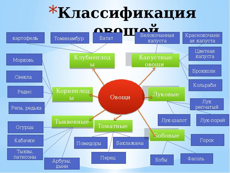 Схема классификации овощей