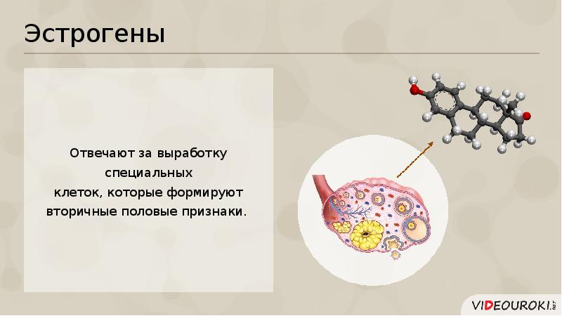 Специальные клетки вырабатывающие гормоны. Что такое гормоны биология 6 класс. Раскройте роль гормонов в обмене веществ росте