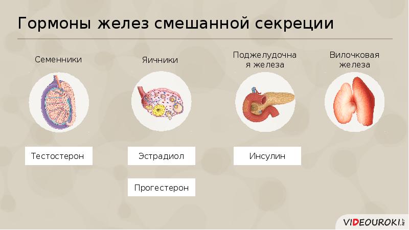 Влияние гормонов на рост и развитие человека проект по биологии 8 класс