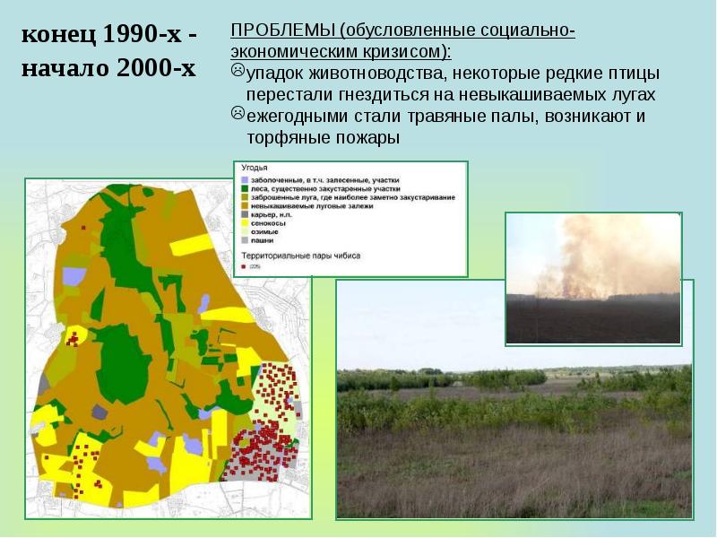 Карта журавлиная родина