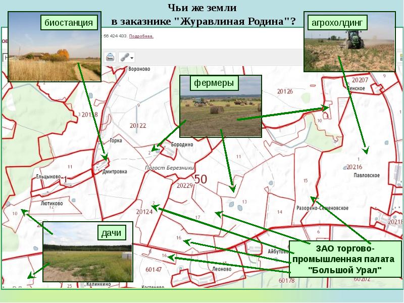 Карта журавлиная родина