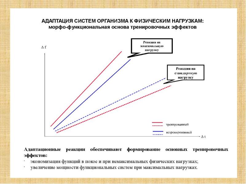 Зарисовать схему механизмов адаптации