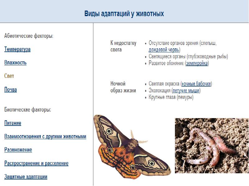 Приспособленность организмов к действию факторов среды презентация 9 класс