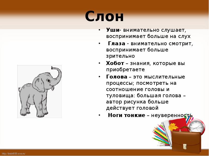 Рассказ слон текст. Рефлексия слон. Тема текста слон. Уши слона. Текст про слона.