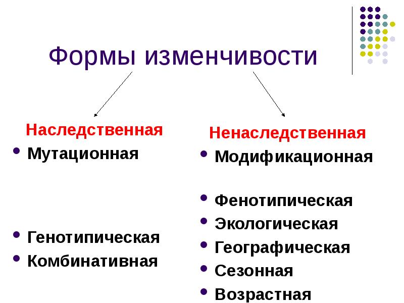 Презентация изменчивость наследственная изменчивость