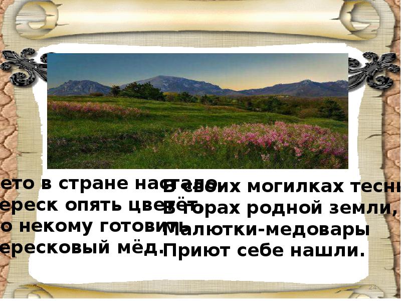 Где малютки медовары нашли себе приют. Малютки медовары приют себе.