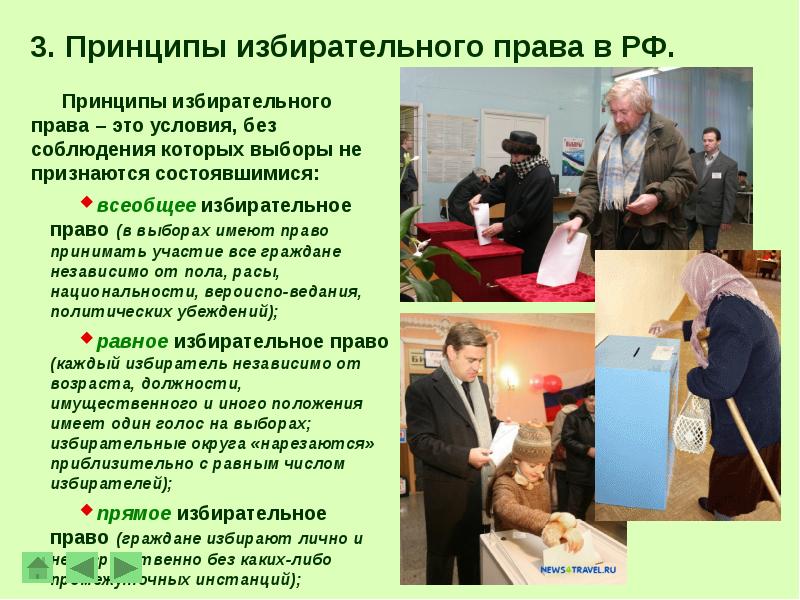 Выборы и референдум презентация