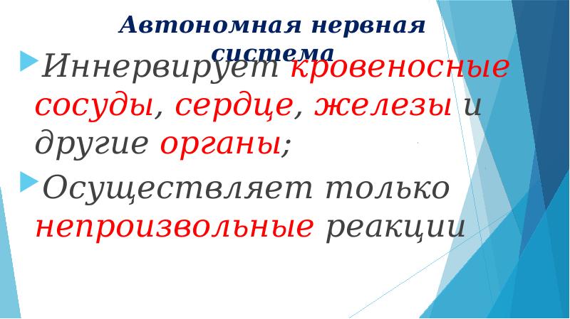 Общий план строения автономной нервной системы