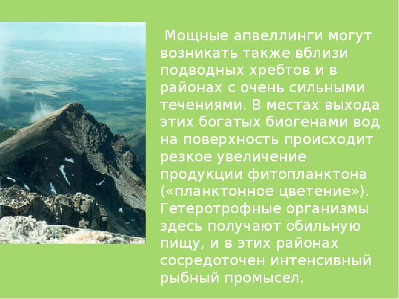 Также возникает. Апвеллинги. Апвеллинги характеристика. Апвеллинг. Апвеллинги и их значение для первичной продукции.