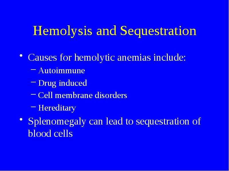 Lymphatic Hematopoetic System Ipm 2 презентация доклад проект