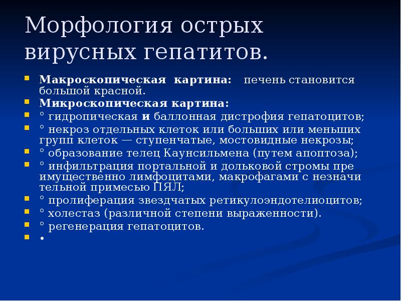 Морфология острых вирусных гепатитов.
Макроскопическая картина: печень становится большой красной.
Морфология острых вирусных гепатитов.
Макроскопическая картина: печень становится большой красной.