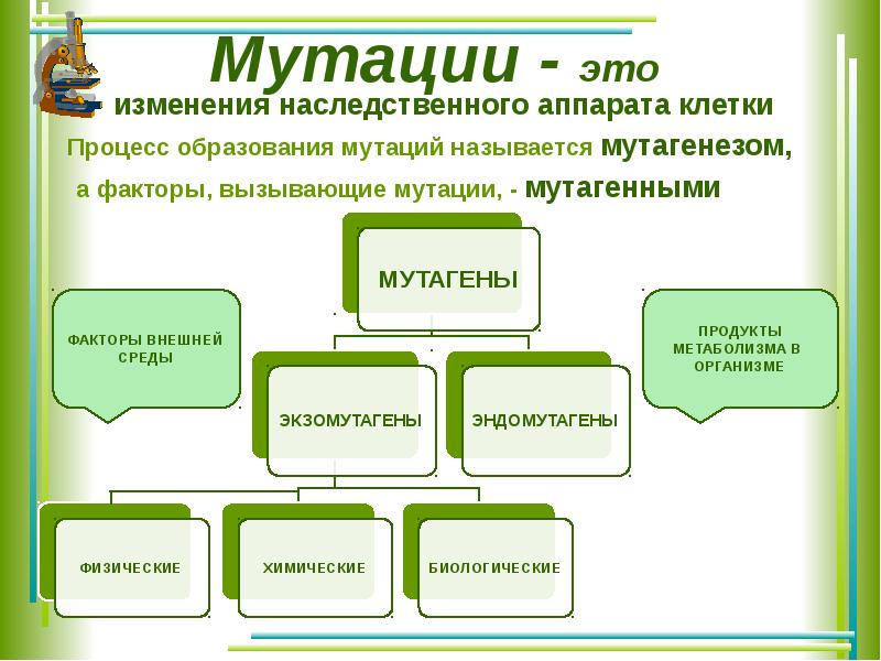 Виды изменчивости и виды мутаций у человека факторы мутагенеза презентация