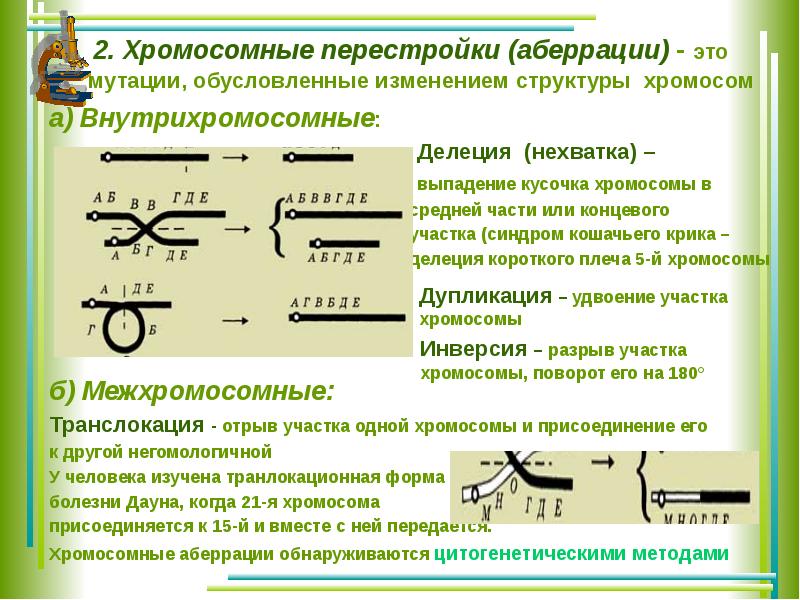 Хромосомные. Хромосомные мутации аберрации. Хромосомные перестройки. Хромосомные перестройки виды. Типы хромосомных перестроек.