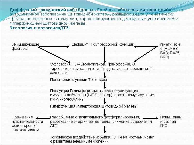 Диффузный токсический зоб (болезнь Грейвса, «болезнь митохондрий») – это аутоиммунное заболевание
