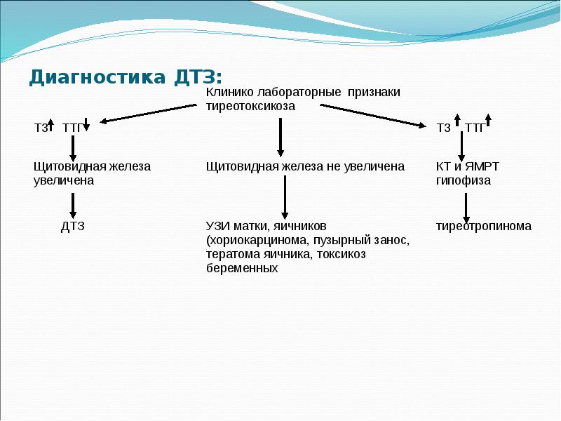 Диагностика ДТЗ: