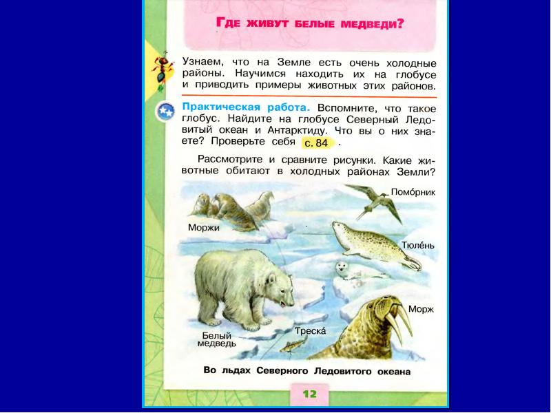 Где живут белые медведи презентация 1 класс школа россии презентация