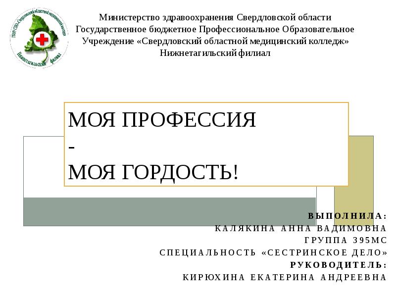 Моя профессия моя гордость презентация