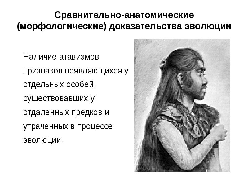 Тест доказательства эволюции. Сравнительно-анатомические доказательства эволюции презентация. Сравнительно анатомическая наука это. Морфологические и анатомические признаки. Сравнительно анатомические Дева.