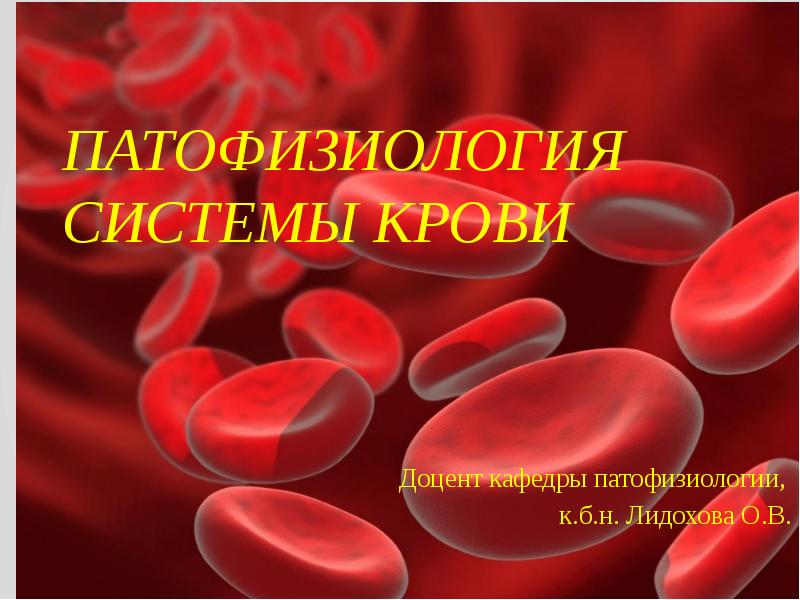 ПАТОФИЗИОЛОГИЯ СИСТЕМЫ КРОВИ Доцент кафедры патофизиологии,  к.б.н. Лидохова О.В.