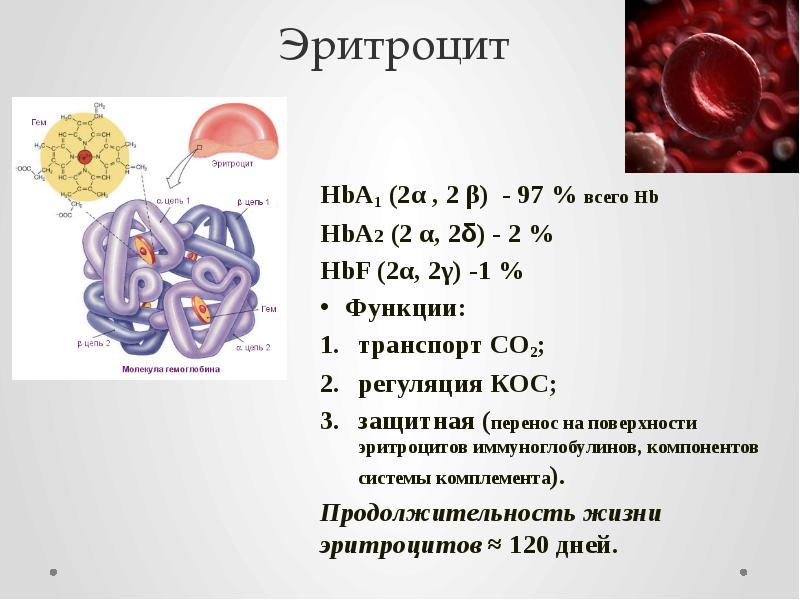 Анемии патофизиология презентация