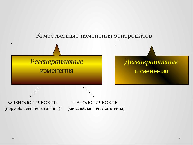 Качественные изменения эритроцитов