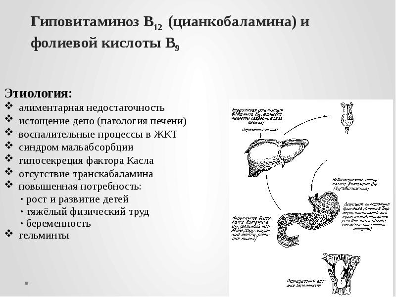 Гиповитаминоз В12 (цианкобаламина) и  фолиевой кислоты В9   