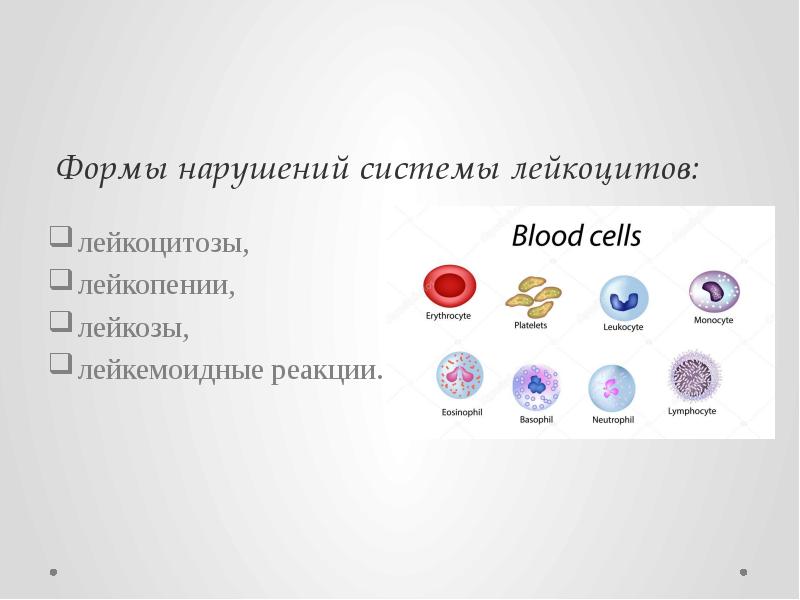 Формы нарушений системы лейкоцитов:   лейкоцитозы, лейкопении,  лейкозы, лейкемоидные