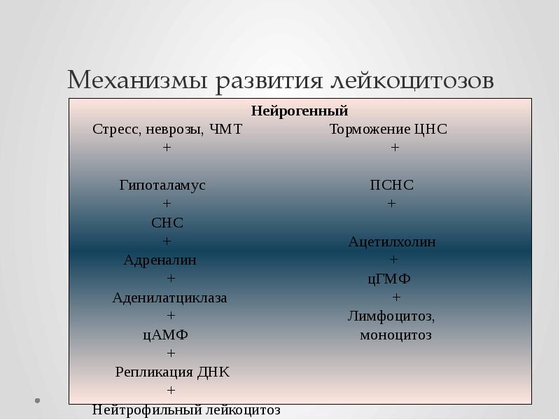 Механизмы развития лейкоцитозов