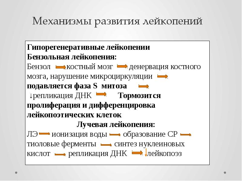 Механизмы развития лейкопений
