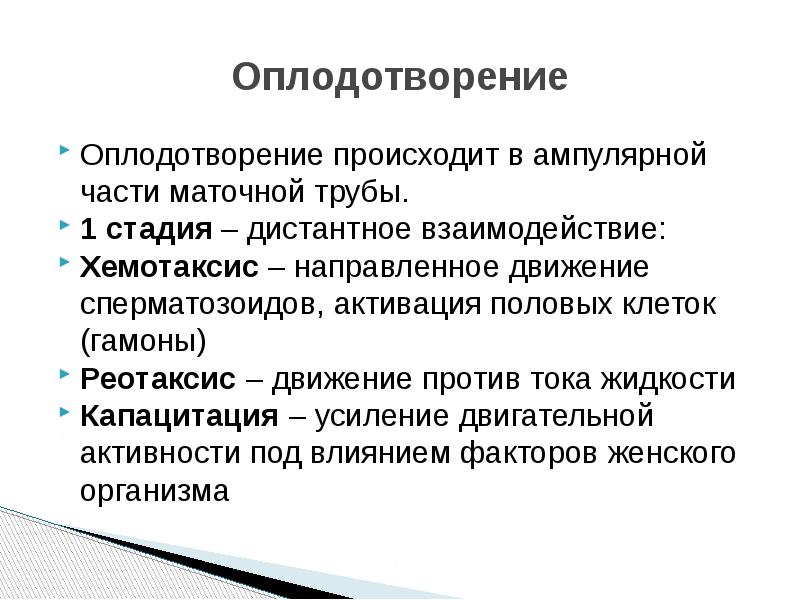 Оплодотворение происходит в течении. Оплодотворение происходит в ампулярной части. Хемотаксис оплодотворение. Хемотаксис сперматозоидов. Фазы оплодотворения хемотаксис.