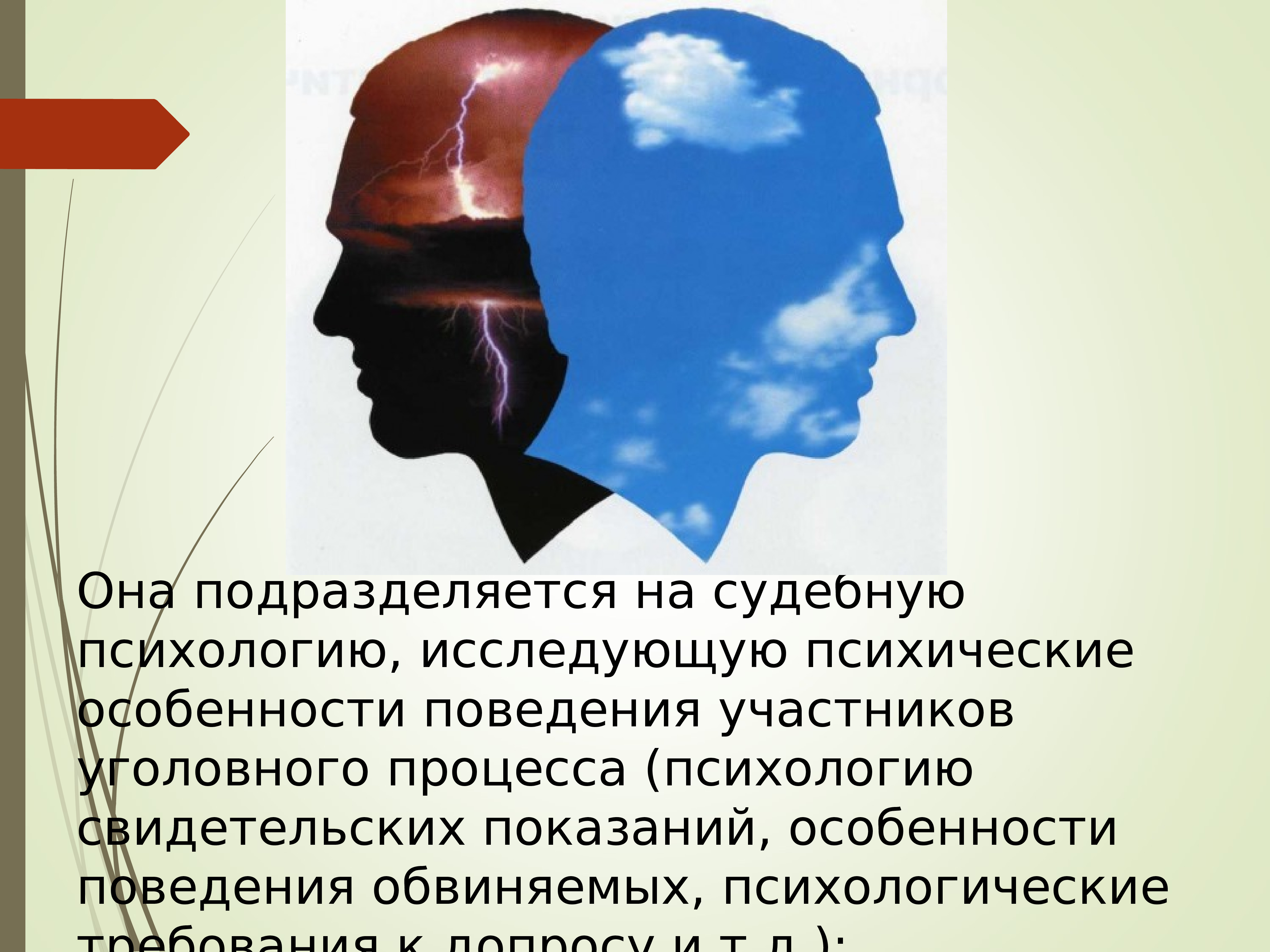 Судебная психология. Психология уголовного судопроизводства. Психологические особенности участников уголовного процесса. Психология свидетельских показаний. Особенности судопроизводства психология.