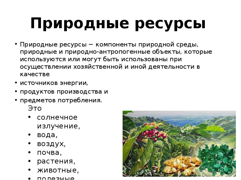 Природные ресурсы сайты. Природные ресурсы это природные компоненты. Природная среда природные условия природные ресурсы. Природные ресурсы и природные объекты разница. Природные ресурсы это элементы природной среды.