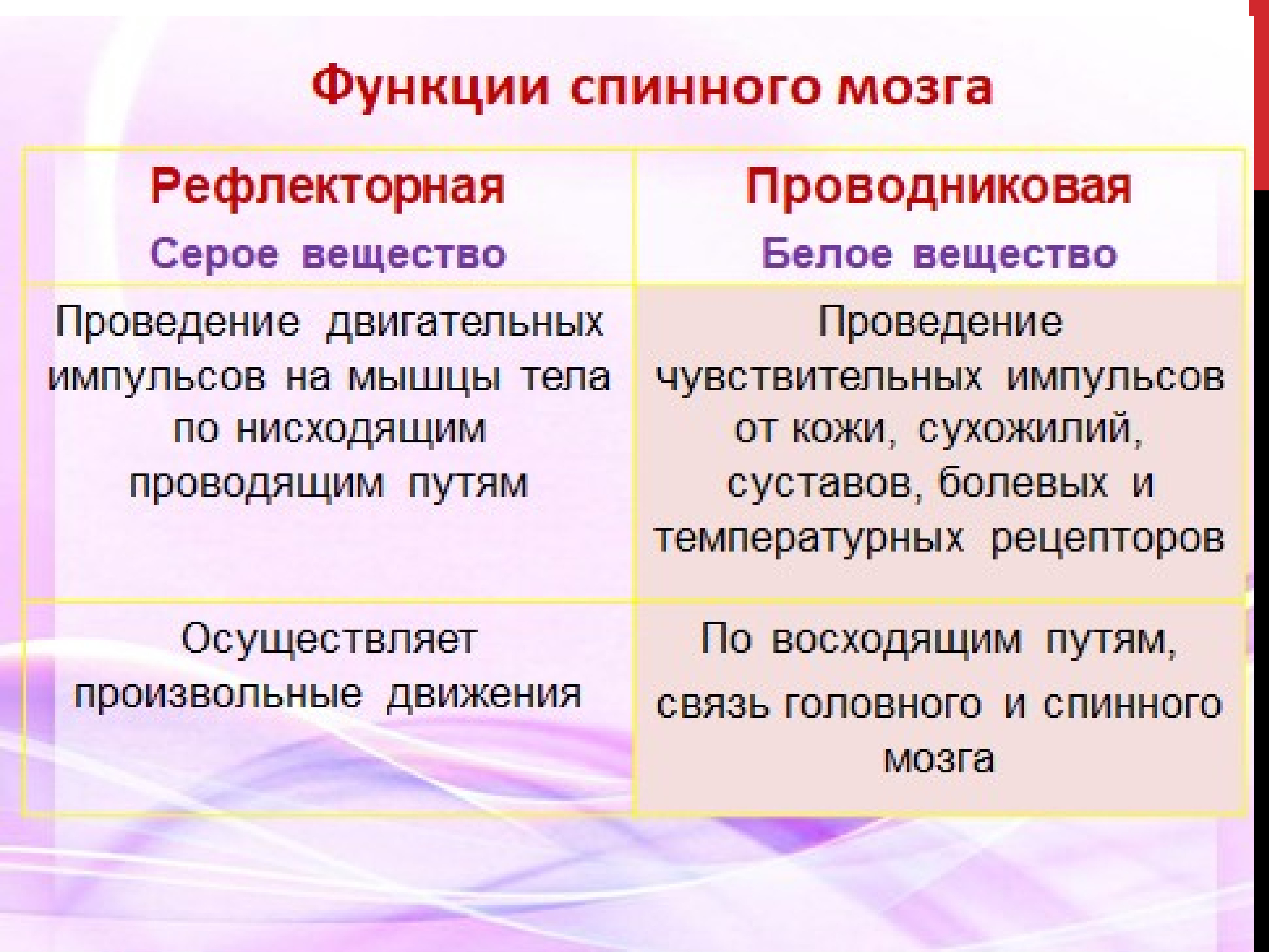 Проводников функции спинного мозга. Функции спинного мозга рефлекторная функция. Рефлекторная функция проводниковая функция спинного мозга. Функция спинного мозга 1) рефлекторная 2) проводниковая. Рефлекторная и проводниковая функции спинного мозга схема.