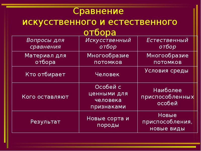 Отбор организмов. Сравнительная характеристика естественного и искусственного отбора. Искусственный отбор исходный материал для отбора. Сравнение искусственного и естественного отбора таблица 11 класс. Сравнительная таблица естественного и искусственного отбора.