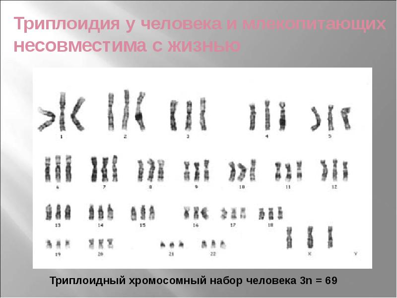 Хромосомная инженерия презентация