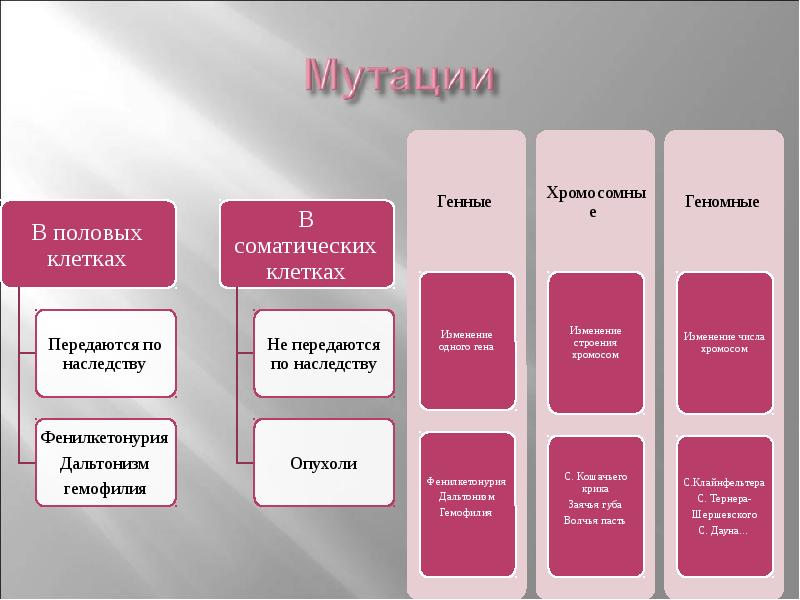 Типы мутаций презентация