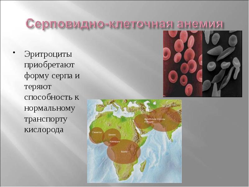 Серповидноклеточная анемия презентация