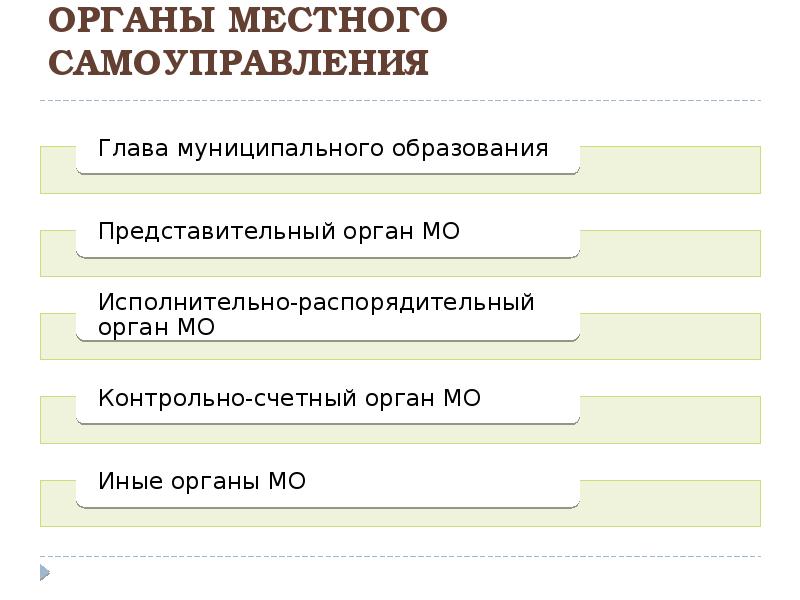 Проект местного самоуправления