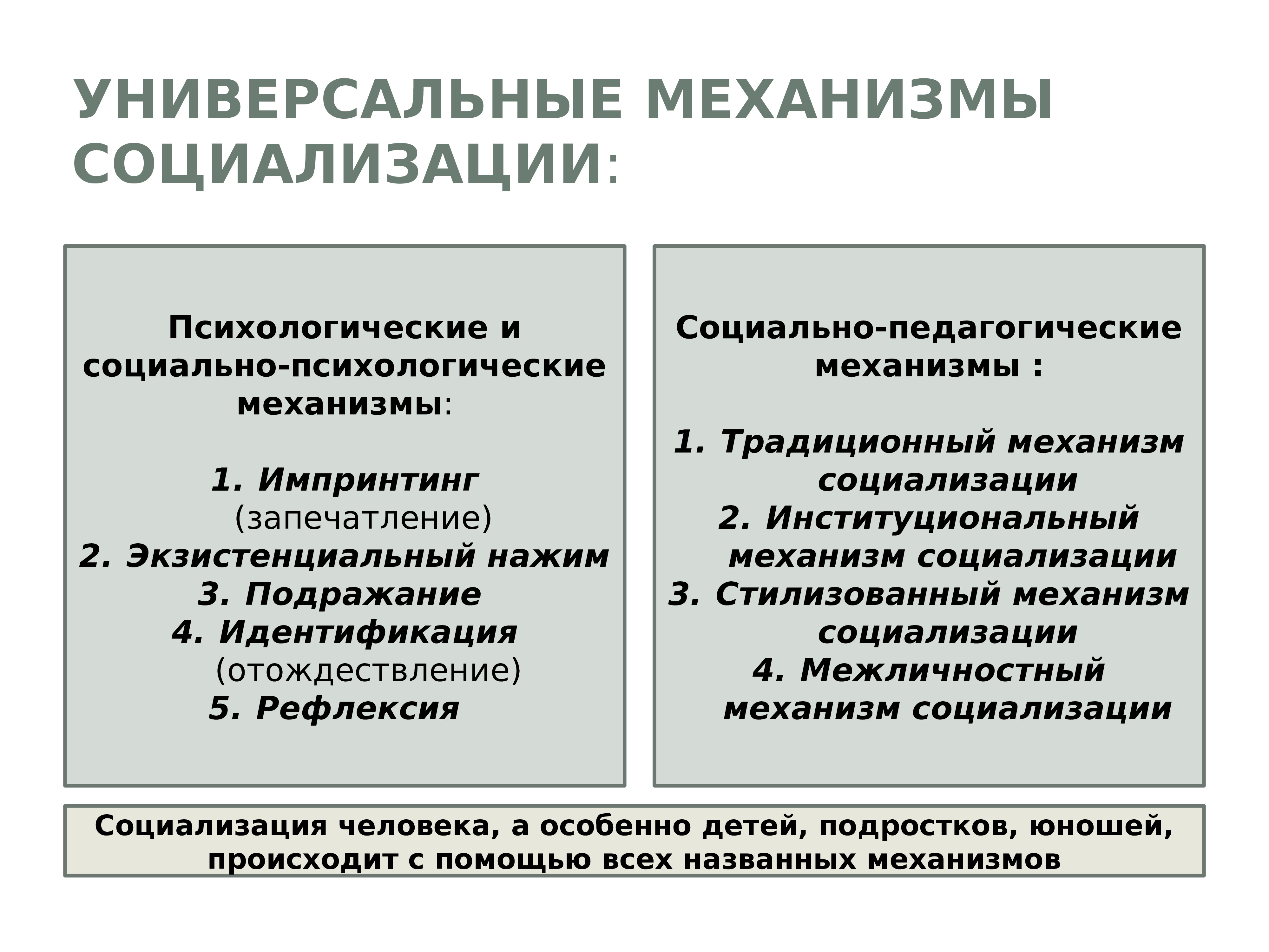 Механизмы социализации презентация