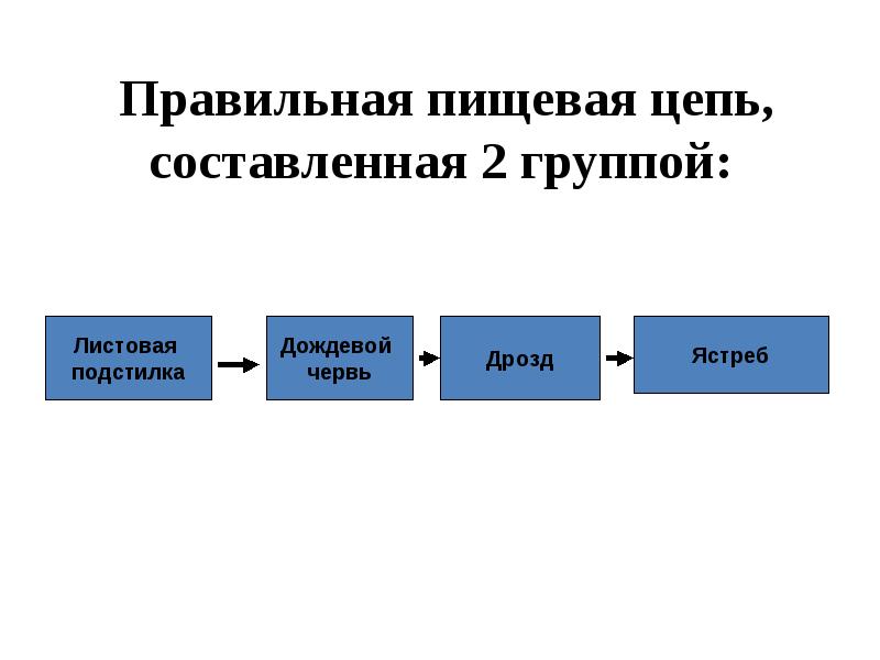 Презентация потоки вещества и энергии в экосистеме 9 класс биология пасечник