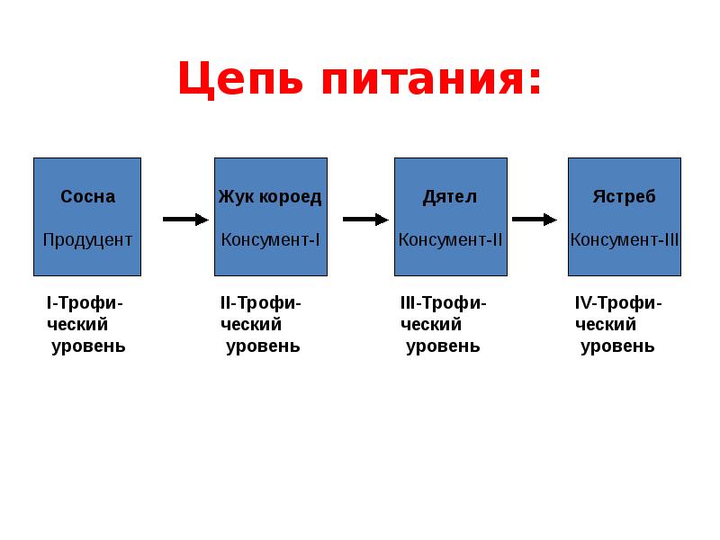 Экосистема 7 класс план урока