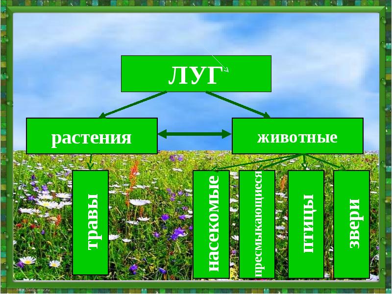 Презентация по окружающему миру 2 класс животные луга школа 21 века