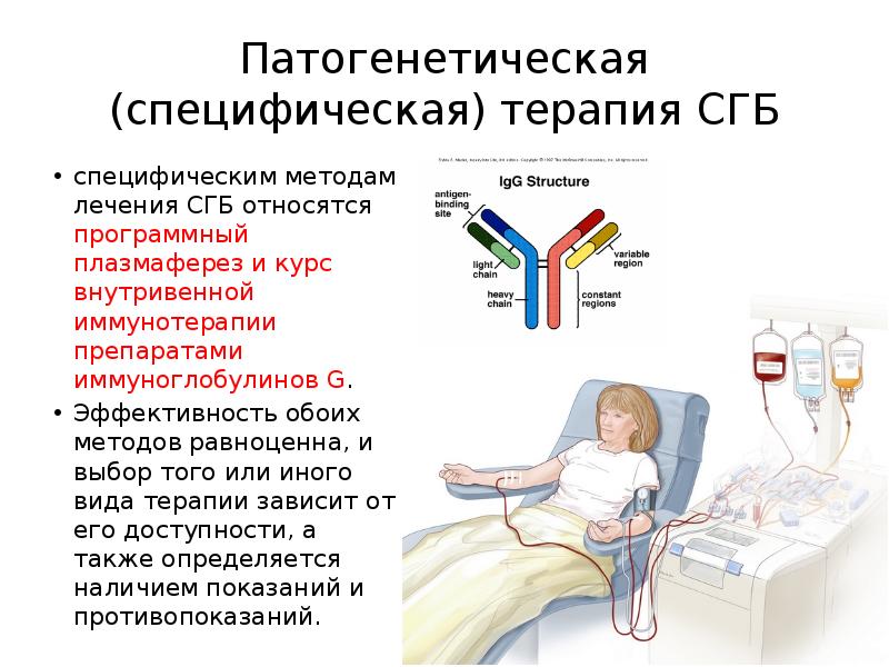 Патогенетическая (специфическая) терапия СГБ
специфическим методам лечения СГБ относятся программный плазмаферез Патогенетическая (специфическая) терапия СГБ
специфическим методам лечения СГБ относятся программный плазмаферез