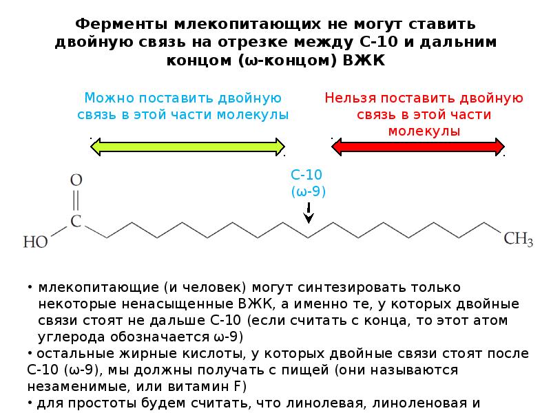 Ферменты млекопитающих не могут ставить двойную связь на отрезке между С-10 Ферменты млекопитающих не могут ставить двойную связь на отрезке между С-10