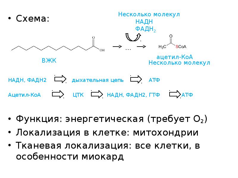 Схема:
Схема:
НАДН, ФАДН2 Схема:
Схема:
НАДН, ФАДН2