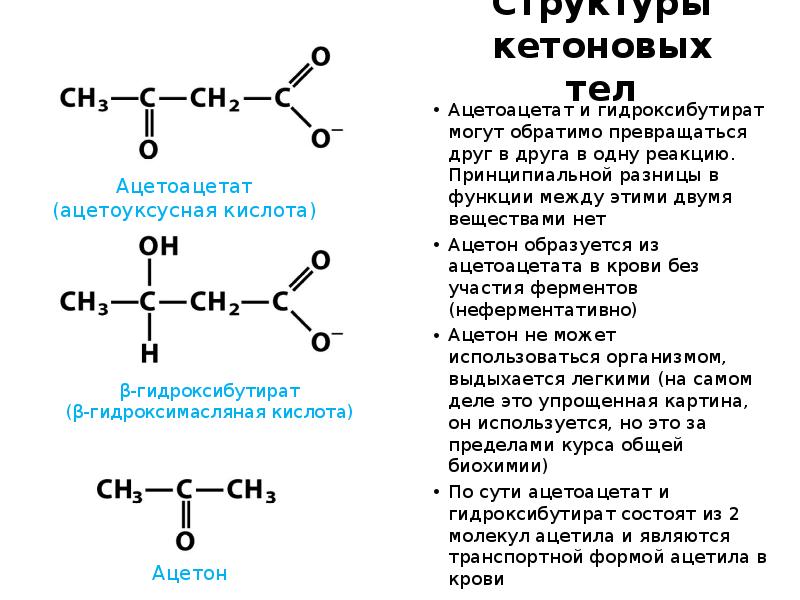 Структуры кетоновых тел
Ацетоацетат и гидроксибутират могут обратимо превращаться друг в Структуры кетоновых тел
Ацетоацетат и гидроксибутират могут обратимо превращаться друг в