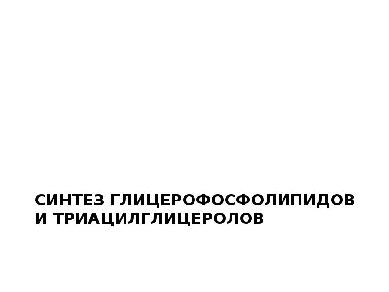 Синтез глицерофосфолипидов и триацилглицеролов Синтез глицерофосфолипидов и триацилглицеролов