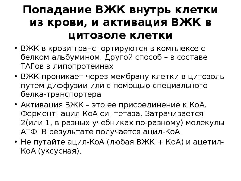Попадание ВЖК внутрь клетки из крови, и активация ВЖК в цитозоле Попадание ВЖК внутрь клетки из крови, и активация ВЖК в цитозоле