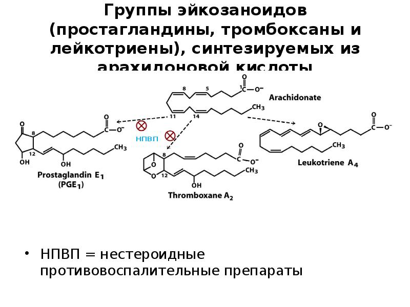 Группы эйкозаноидов (простагландины, тромбоксаны и лейкотриены), синтезируемых из арахидоновой кислоты НПВП