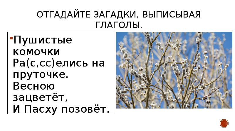 Презентация в феврале зима с весной встречается впервой 2 класс презентация